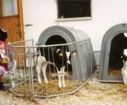 Bauernhof Maislbauer