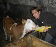 Landgasthof-Schabus Gasthof