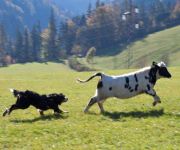 Urlaub zu jeder Jahreszeit Bauernhof Rettenbachgut