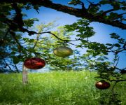 Knusperhütte Hütte