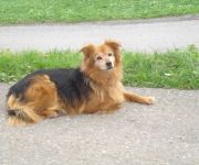 Bauernhof Wehinger Josef