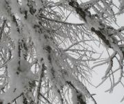 Bauernhof Schuistlhof