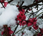 Bauernhof Spezialitätenhof Familie Eichmann