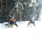 Ferienwohnungen Alpenblick Pension