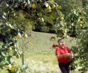 Bauernhof Silberschneider