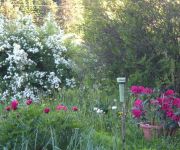 Bauernhof Vierthalerhof