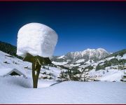 Alpbach Pension Edelweiss