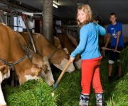 Bauernhof Friedlbauern