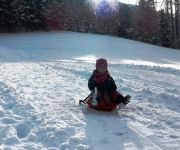 Bauernhof Baby- und Kinderbauernhof Riegler