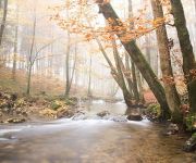 Bauernhof Erlachmühle