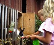 Bauernhof Ferienhof Lang