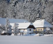 Bauernhof Holzinger im Almegg