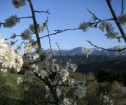 Bauernhof Leitner (Zocherl)