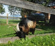 Bauernhof Ferienhof Gressenbauer