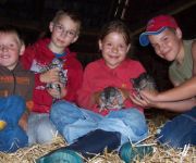 Bauernhof Knirschenhof