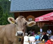 Bauernhof Simma Reinelde