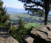 Bauernhof Wiesenbauer