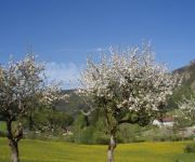 Bauernhof Eisenstattgut Faistenau