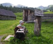Bauernhof Almland-Hütte & Bergland-Hütte