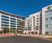 Homewood Suites by Hilton Tampa Airport - Westshore