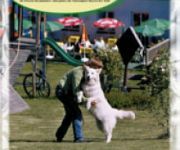 Haus Waldeck Landhotel