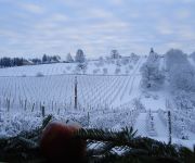 Bauernhof Apfelhof FLIEDER