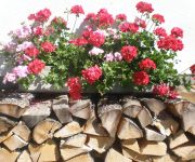 Bauernhof Ablass - Familie Zettel