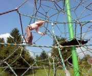 Bauernhof Biohof Veit - ein Haus am Hof - unser Urlaub