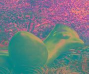 FOUR SEASONS RESORT KOELE