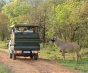 DADDY LONG LEGS ART HOTEL