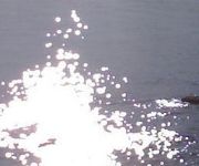 Amazones Villas Apartments