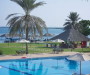 Flamingo by Bin Majid