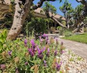 Hôtel Sous les Figuiers