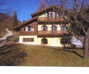 VOLPE ROSSA-CAVALESE