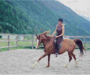 Aktiv-Ferienwohnungen Pienz mit eigenem Reiterhof