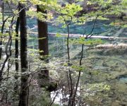 Appartementhaus Familie Kapp