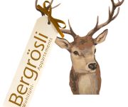 Bergrösli Wohlfühlappartements