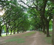 Simple & Charming Hotel Bed & Breakfast