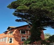 She Pine Tree House - Guest House