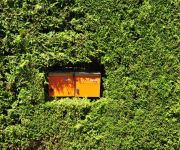 Panoramablick (Zimmermann Paul) - Visperterminen