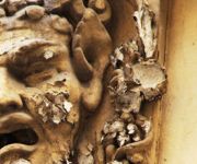 Roten Löwen Design-Apartment