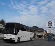 KNIGHTS NIAGARAFALLLUNDYSLANE