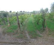 Agriturismo Martignana Alta