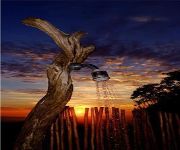 Infinity View Boutique Guesthouse