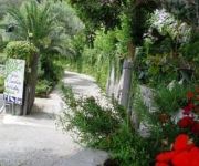 Holidays Fico D'india