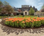 Waldorf Astoria Amsterdam