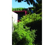 Club Belambra la Presqu'ile de Giens Les Criques Résidence de Tourisme