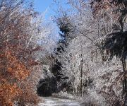 Nichtraucher- Ferienwohnung mit Wintergarten Einze