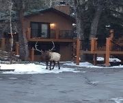 4 Seasons Inn on Fall River