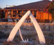 Cabo Pulmo Eco Palapa